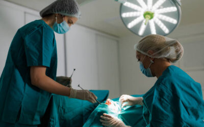 Comment les proportions du visage influencent-elles une rhinoplastie à Lyon ?